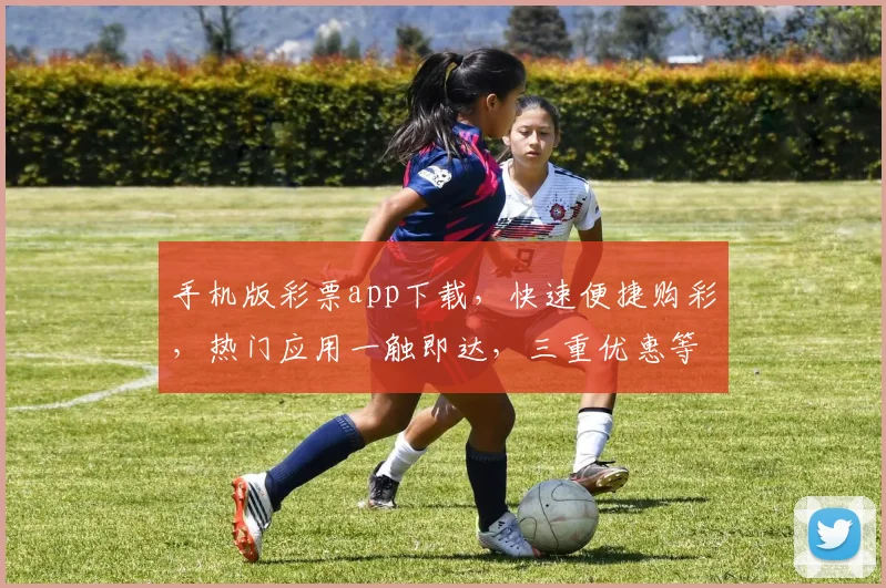 手机版彩票app下载,快速便捷购彩,热门应用一触即达,三重优惠等你来